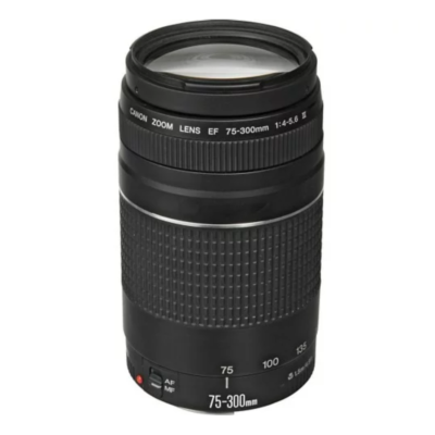 Used Canon EF 75-300 mm f/4-5.6 III Telephoto Zoom Lens