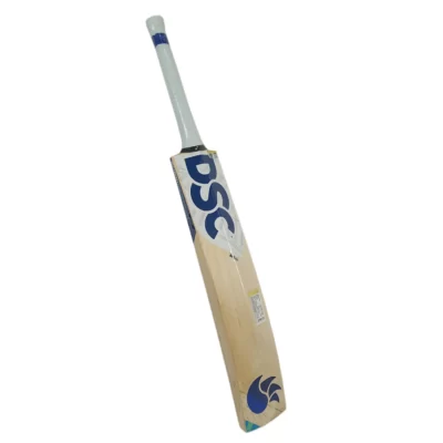 DSC Blu 200 English Willow Cricket Bat