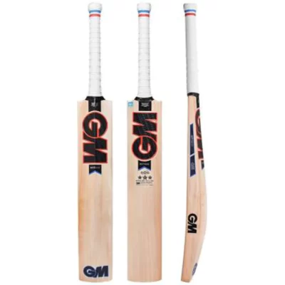 GM Mythos 606 English Willow Cricket Bat