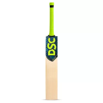 DSC Condor Flite English Willow Cricket Bat