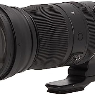 Sigma 150-600mm f/5-6.3 DG DN