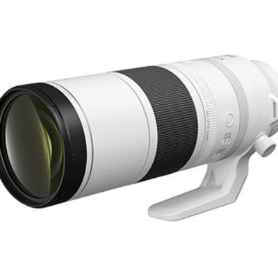 Canon RF 200-800mm f/6.3-9 IS USM Lens