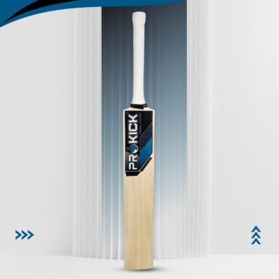 Prokick Instinct Kashmir Willow Cricket Bat