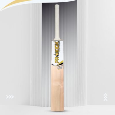 Prokick Spectre Kashmir Willow Cricket Bat