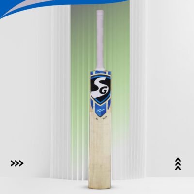 SG HP Plus Kashmir Willow Cricket Bat