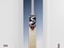 SG RP Plus Kashmir Willow Cricket Bat