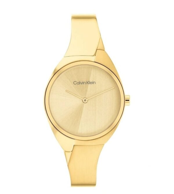 Calvin Klein Men Charming Quartz